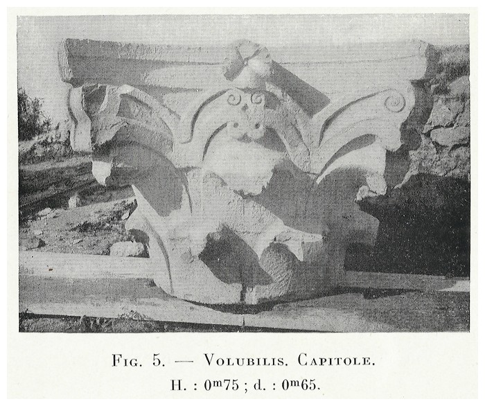 VOLUBILIS : LES SCULPTURES - Page 2 Thouve14