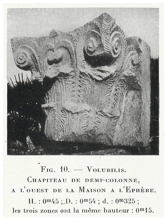 VOLUBILIS : LES SCULPTURES - Page 2 Thouve19