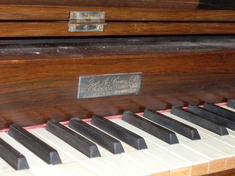 The Reed Organ Man Cimg3616