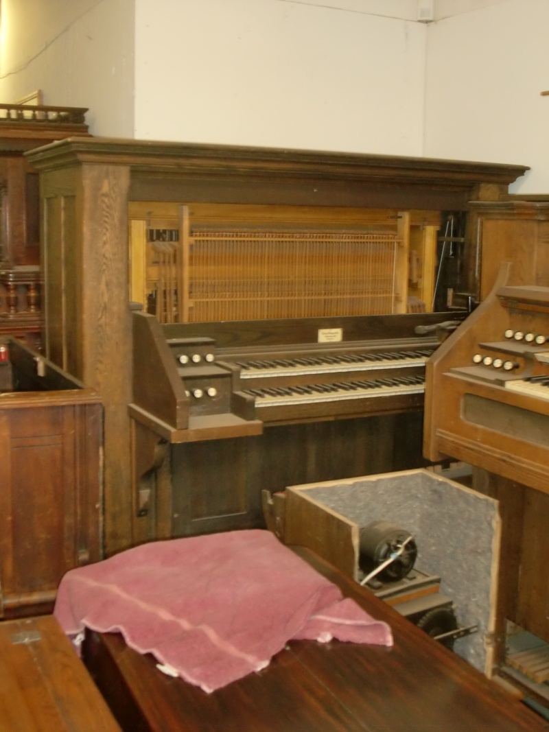 The Reed Organ Man Cimg3618