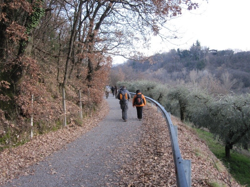 ESCURSIONE DEL 02/01/2011 Da Affi a Garda passando dalla Val Sorda e Bardolino Da_aff48