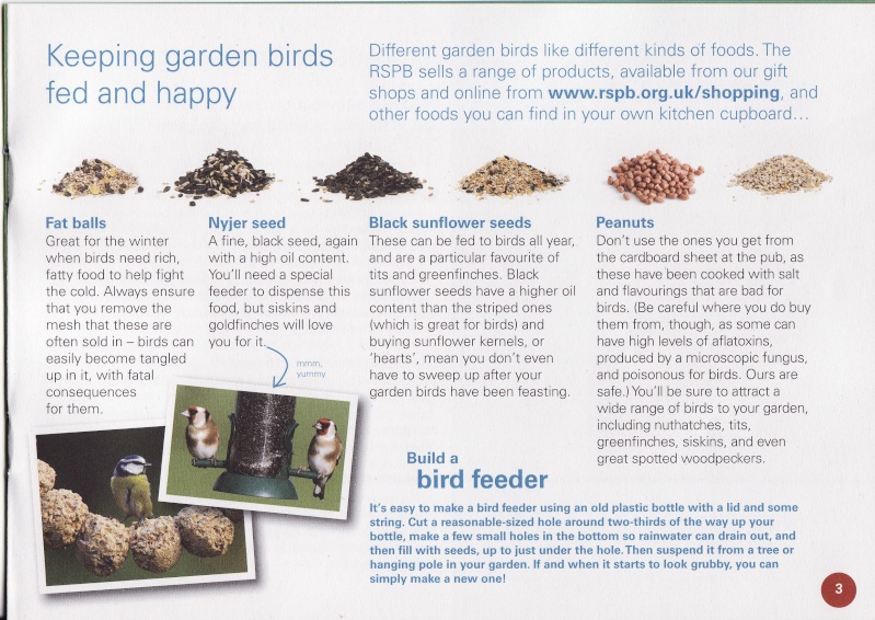 Food for Garden Birds & Feeders Img_0019