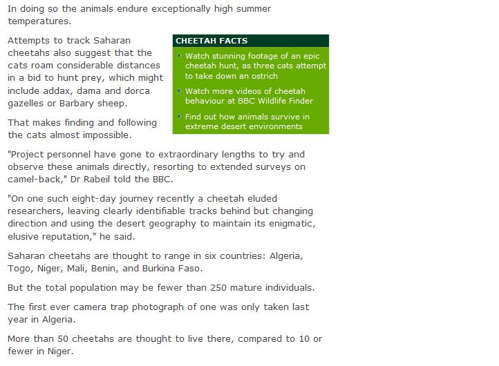 The Saharan Cheetah We215