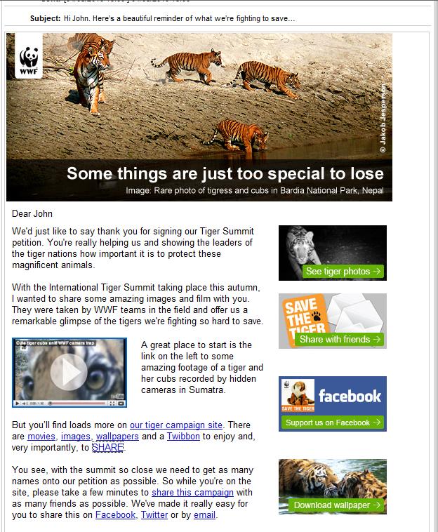 WWF Newsletter Wwf10
