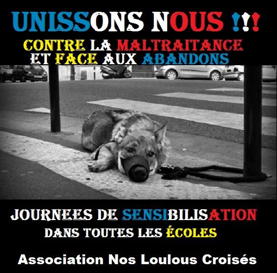 POUR L'AVENIR DE NOS ENFANTS ‎Journées de SENSIBILISATION 2014 contre les abandons et la maltraitance animalière 10470910