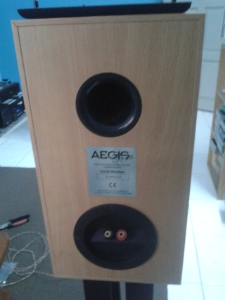 Acoustic Energy (AE) Aegis One Speaker - SOLD Ae310