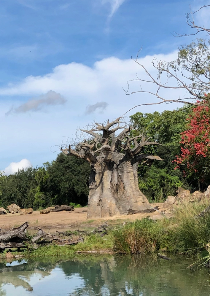 2019 - Trip Report : WDW et Universal - Toussaint 2019 en tête à tête avec ma  fille   - Page 2 Captur16