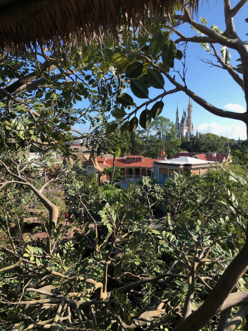 Trip Report : WDW et Universal - Toussaint 2019 en tête à tête avec ma fille Img_1344