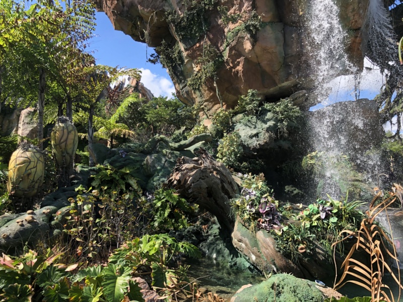 2019 - Trip Report : WDW et Universal - Toussaint 2019 en tête à tête avec ma  fille   - Page 6 Img_2249