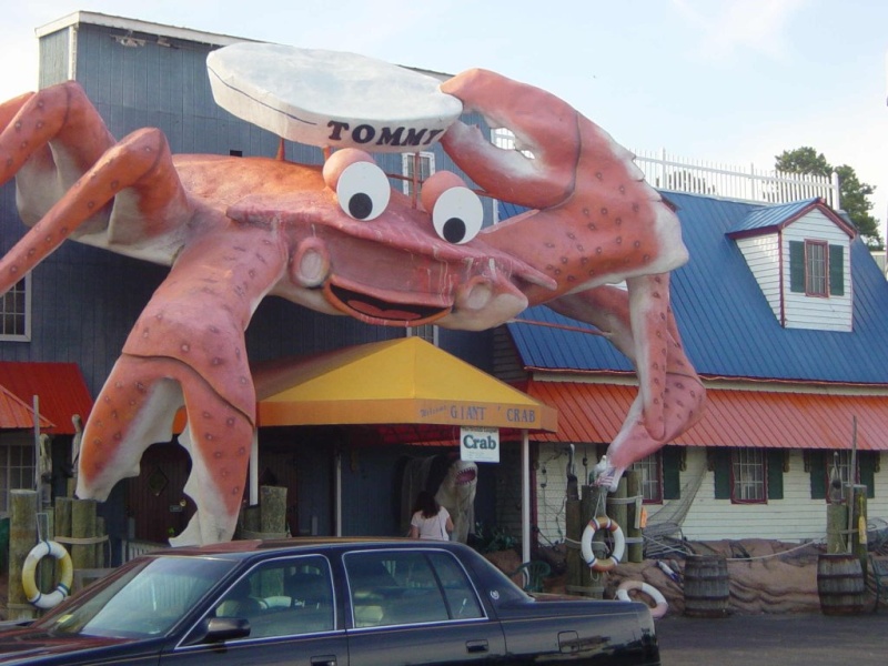 Crustacés géants Crab110