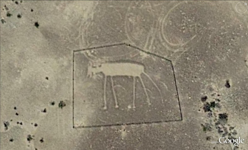 Les géoglyphes découverts avec Google Earth Geo610