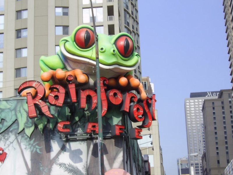 La Grenouille du Rainforest Café à Chicago, Illinois - USA Gre110