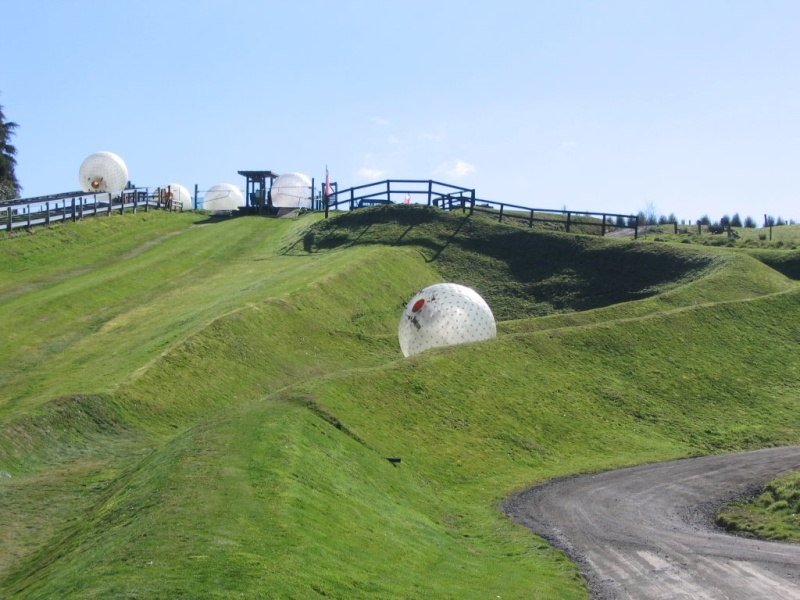 Zorb à Ngongotaha, Rotorua - Nouvelle Zélande Zorb210