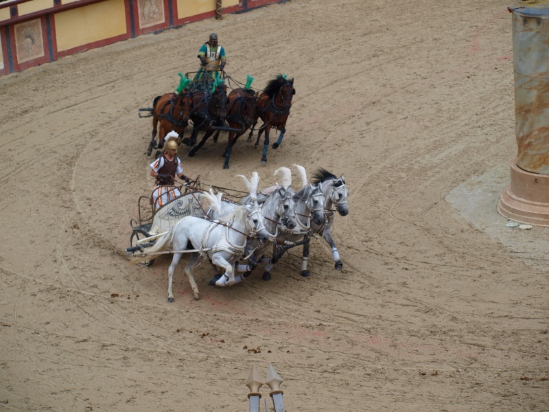 Jeux équestres mondiaux - 23/08/2014 au 07/09/2014 - NORMANDIE P8267315