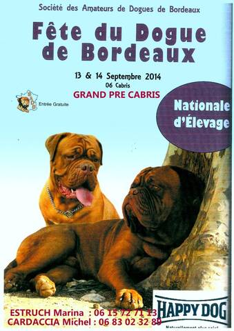 Nationale du0027Elevage du Dogue de Bordeaux