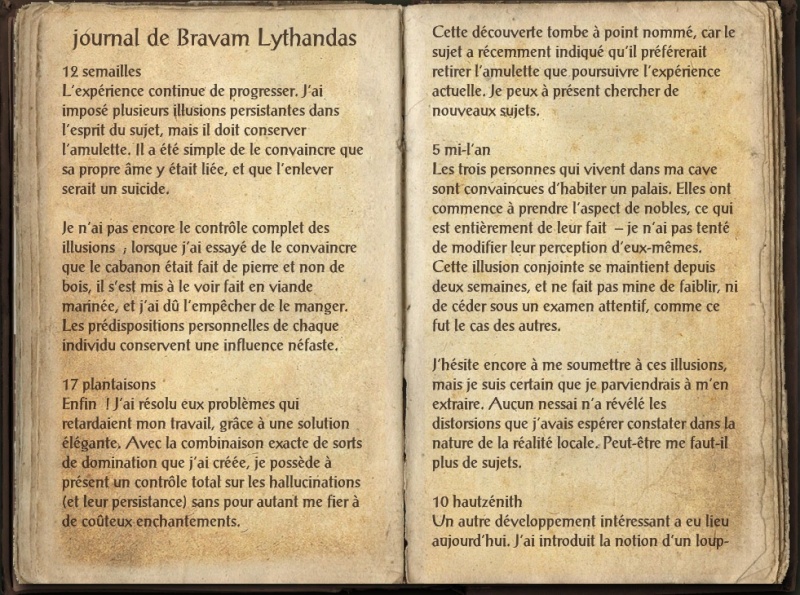 Journal de Bravam Lythandas Screen82