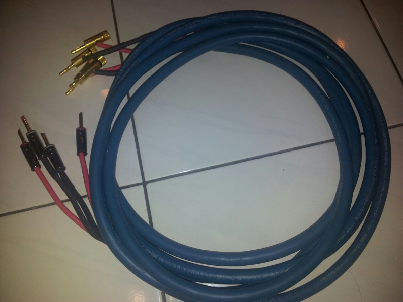 Tara Labs Omni II Speaker Cables - 2.4m Omni110