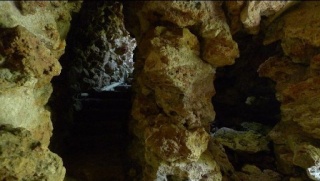 LE CHATEAU DE VERSAILLES Grotte10