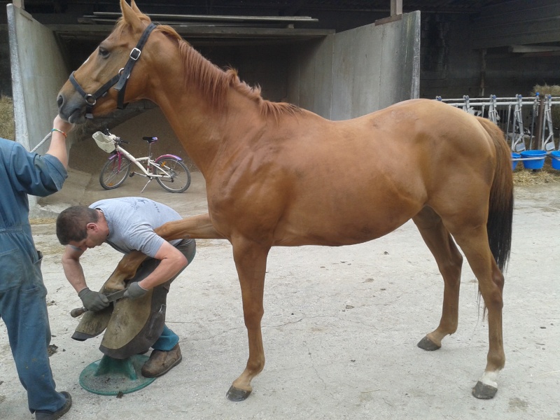 Aaron adopté par Fabien et ses filles               - Page 7 20140811