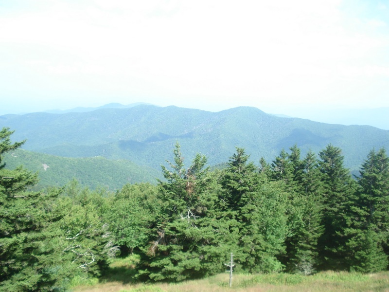 Brookies atop Mt Mitchell Dsc03313