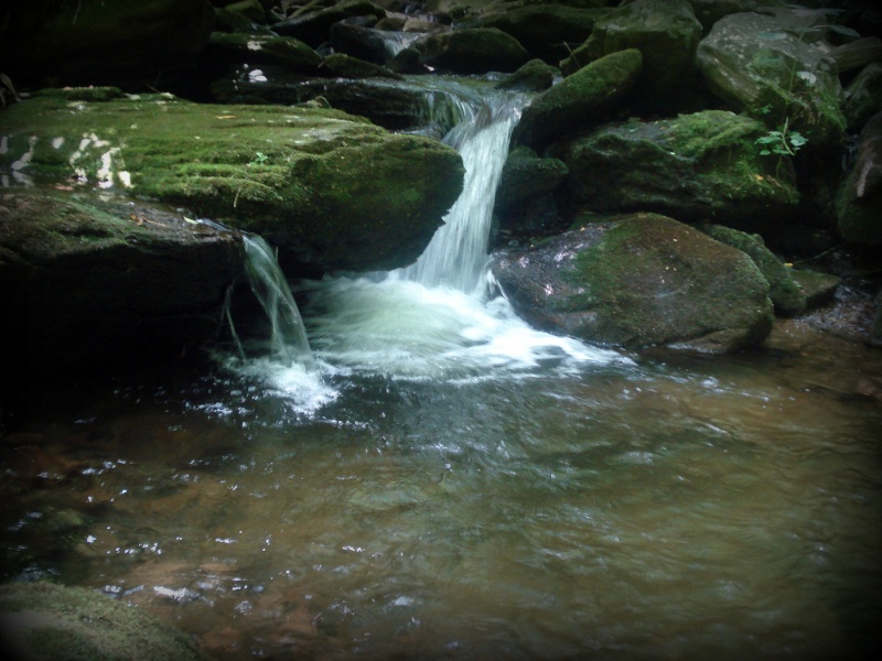 Pisgah Nat'l Forest Wild Water Pool-10
