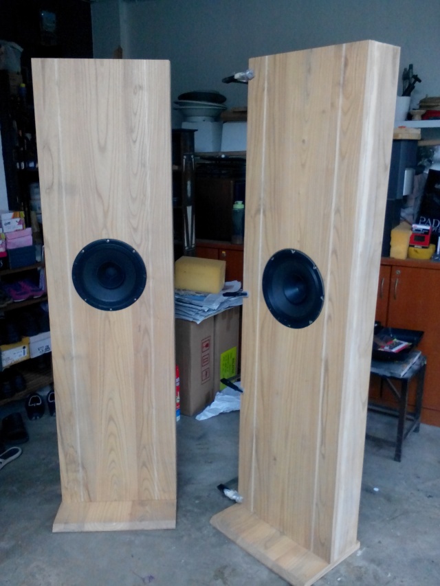 10" DIY OB speaker Img_2052