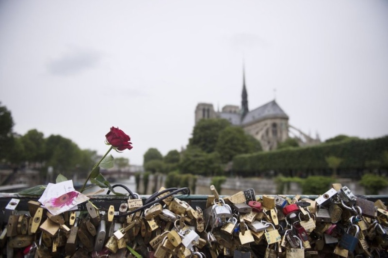 Faire l'amour à Paris : la solution pour repeupler le Danemark  24dkmx10