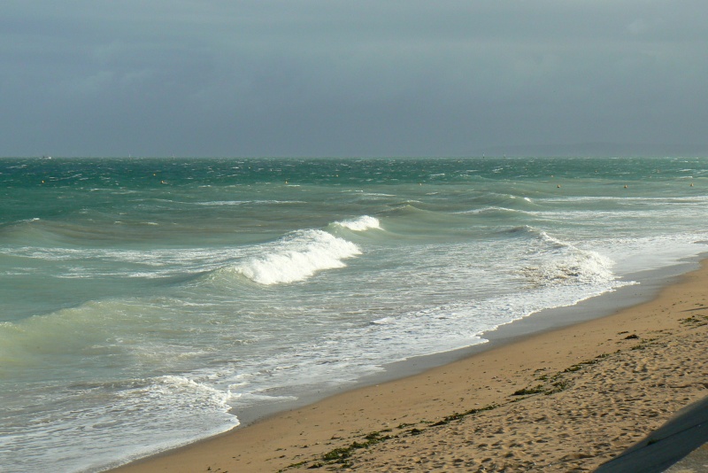 Mardi 21 octobre.....1er coup de vent d'automne Collev10