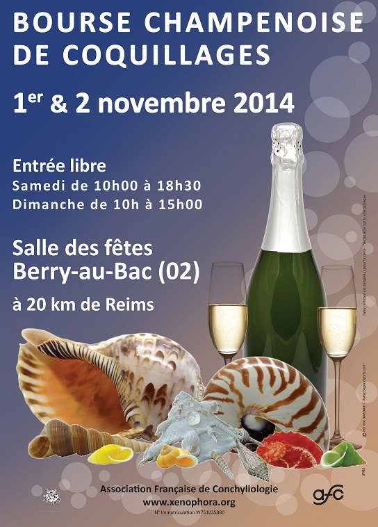 2014 Bourse de Berry au Bac / Reims - 1 & 2 novembre Bourse10