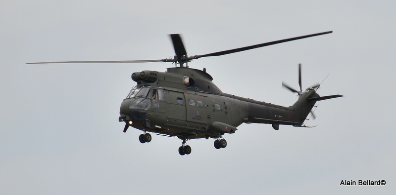 [30/06/2014] Puma HC3A (XW214 & ZJ957) Royal Air Force Dsc_9715