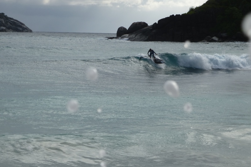 SUP a louer aux Seychelles - Page 3 P1000510