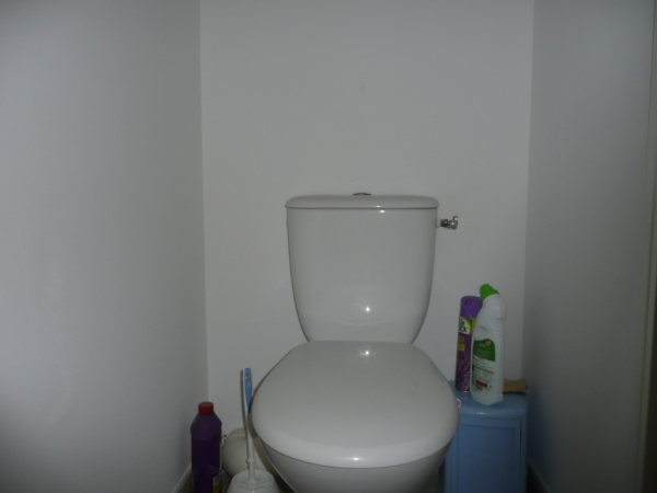 besoins de conseils pour mes toilettes Toilt410