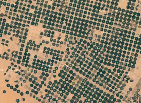 صور من الأقمار الإصطناعية تظهر مزارع وتربيتها المملكة العربية السعودية أرجعت الصحراء القاحلة إلى جنات Jg10