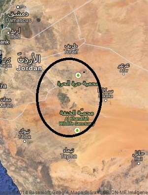 صور من الأقمار الإصطناعية تظهر مزارع وتربيتها المملكة العربية السعودية أرجعت الصحراء القاحلة إلى جنات Jg15