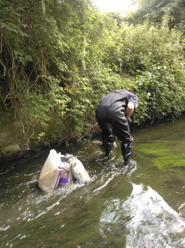 More Eels tiles on the Hogsmill 2nd June Wp_00014