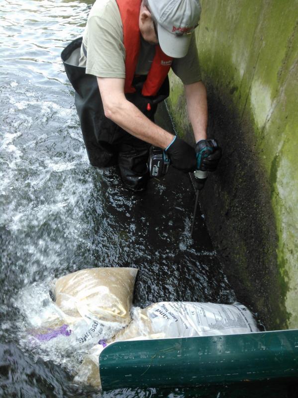 More Eels tiles on the Hogsmill 2nd June Wp_00015