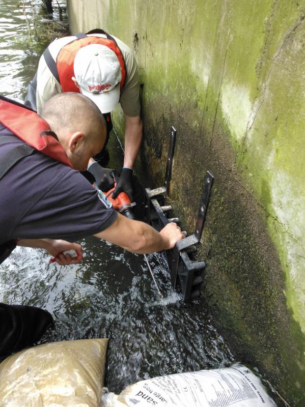 More Eels tiles on the Hogsmill 2nd June Wp_00016