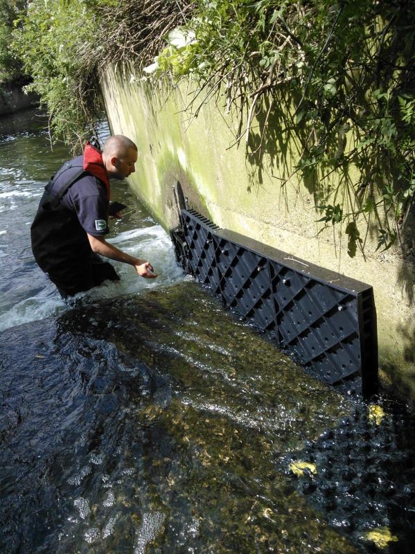 More Eels tiles on the Hogsmill 2nd June Wp_00018