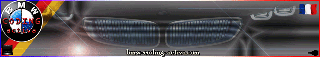 bmw-coding-activa