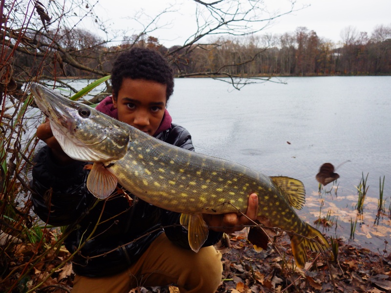 Un ptit brochet qui vaut des points ! Rimg1010