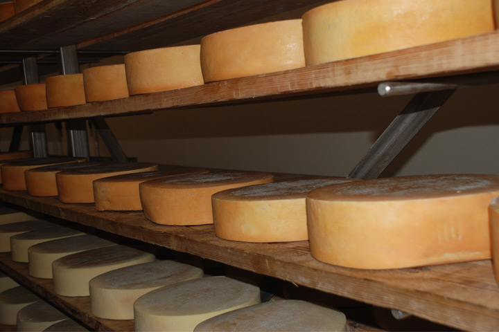 FDA Puts An End To American Artisanal Cheese Img_2010