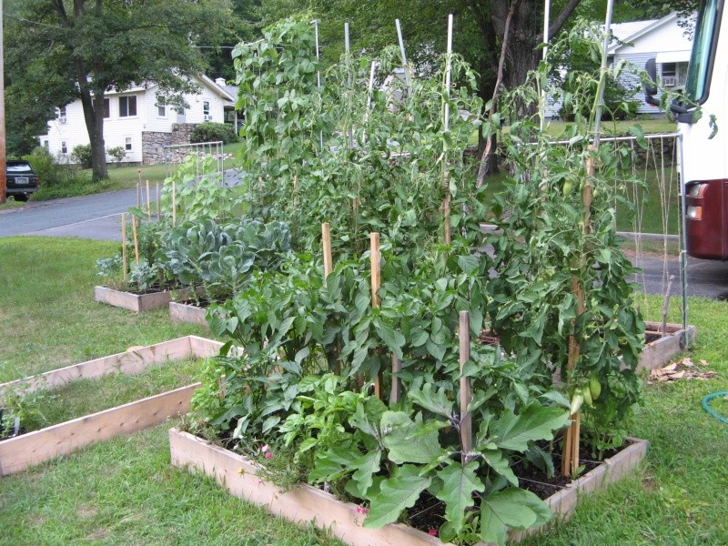The Garden Saga of Camprn, or The End of July & 7 Weeks Until Frost? Jul_2811