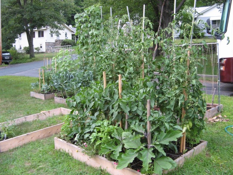 The Garden Saga of Camprn,  or The End of July & 7 Weeks Until Frost? Jul_2811