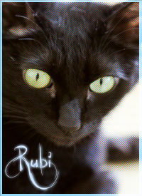 Rubi