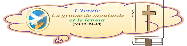 20 juillet 16ème dimanche Ordinaire  L'ivraie - La graine de moutarde et le levain ( (Mt 13, 24-43) 1611