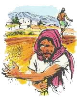 Méditons l'Evangile de ce 26 juillet «  'Seigneur, n'est-ce pas du bon grain que tu as semé dans ton champ ?  » Ivraie11