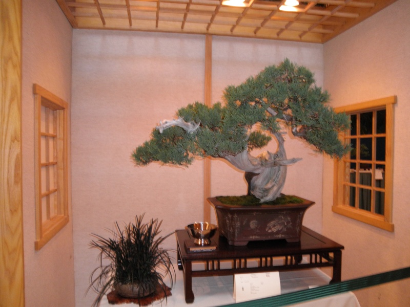 36th Annual Mid-America Bonsai Exhibit  P8180011