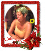 joyeux anniversaire a notre amie caline Caline10