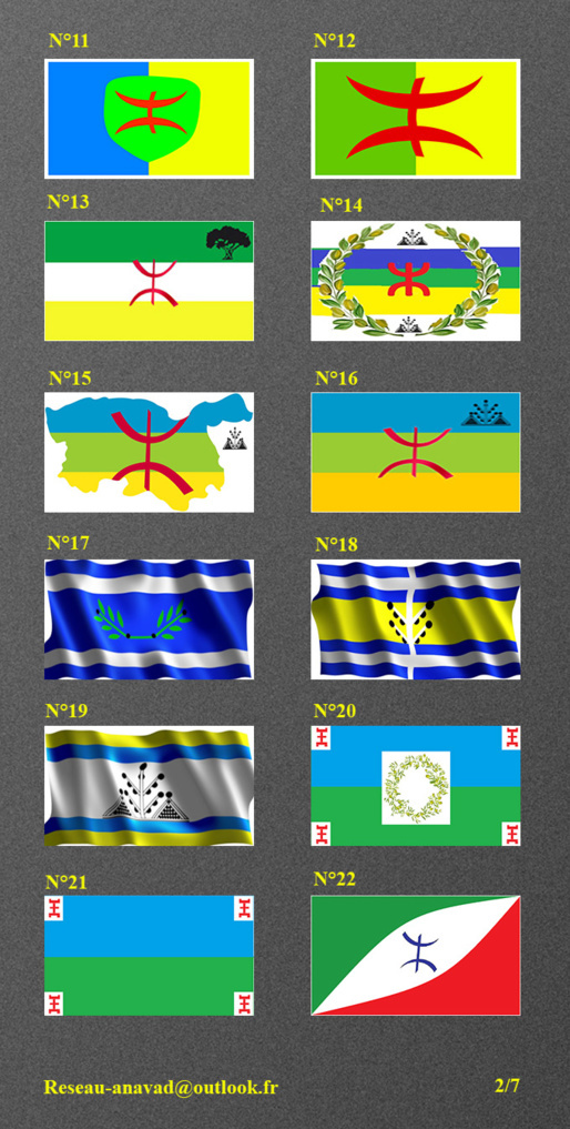 L’élection du drapeau kabyle. 66723038