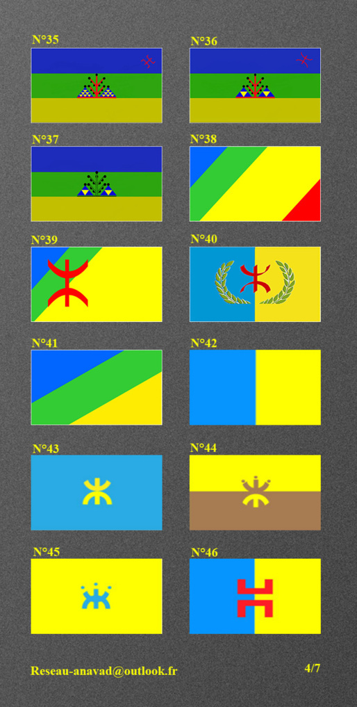 L’élection du drapeau kabyle. 66723040